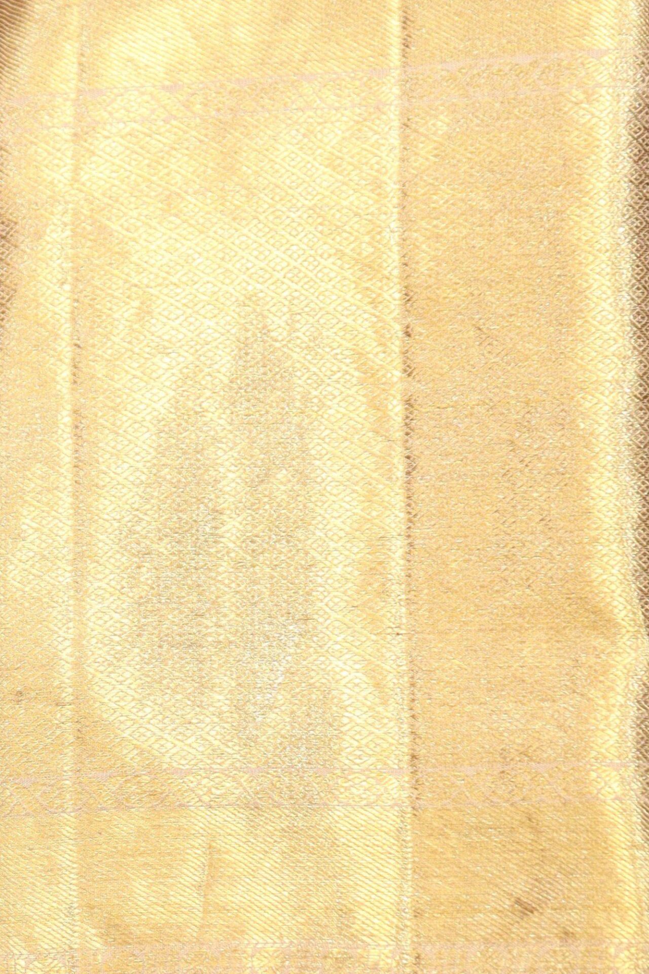 Moti Color Tissue Kanjivaram Saree