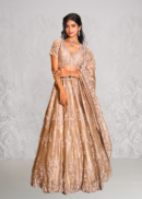 Dusty Golden tissue Lehenga
